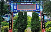 午子山