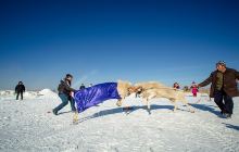 白音哈达草原景区