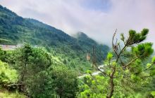 陇南香山自然保护区