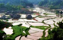 石堰坪