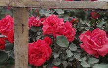 乌斯满毛拉能库勒