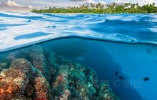 荣巷古镇历史文化研究会展馆