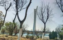 清音公园