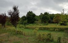 观山湖小湾河湿地公园