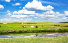 莫日格勒草原景区