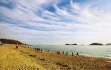 傅家庄海滨浴场赶海