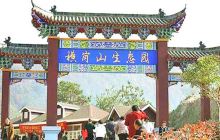 横岗山生态园