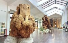 洪济桥（新桥）