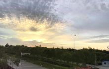 辰山自然保护区