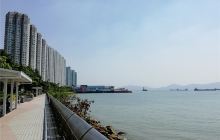 与高飞和布鲁托见面