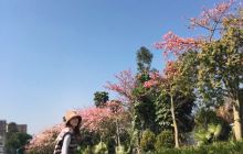 观澜河湿地公园