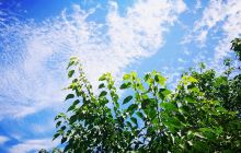 西安市新美城和镜博物馆