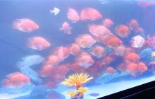 吉源海立方环游城