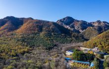 仙人洞森林公园