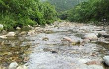 石门台自然保护区