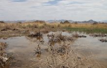 阿尔金山探险区