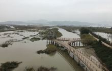 塔礁洲湿地公园