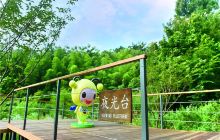 美岕萤火虫生态公园