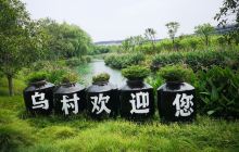 桐乡市乌镇青龙家庭农场