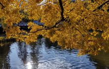 云南陆军讲武堂历史博物馆