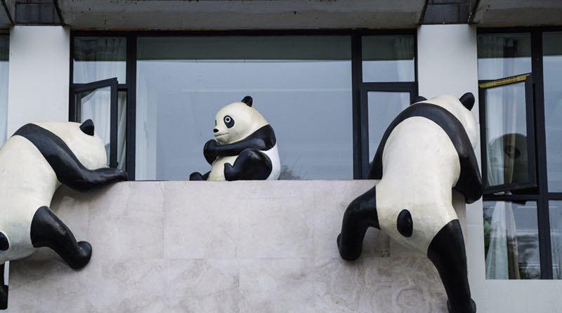 三只熊猫主题酒店